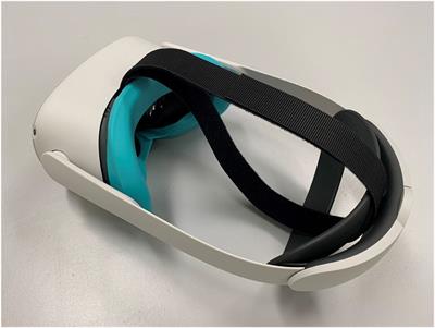 Innovation During a Pandemic: Developing a Guideline for Infection Prevention and Control to Support Education Through Virtual Reality